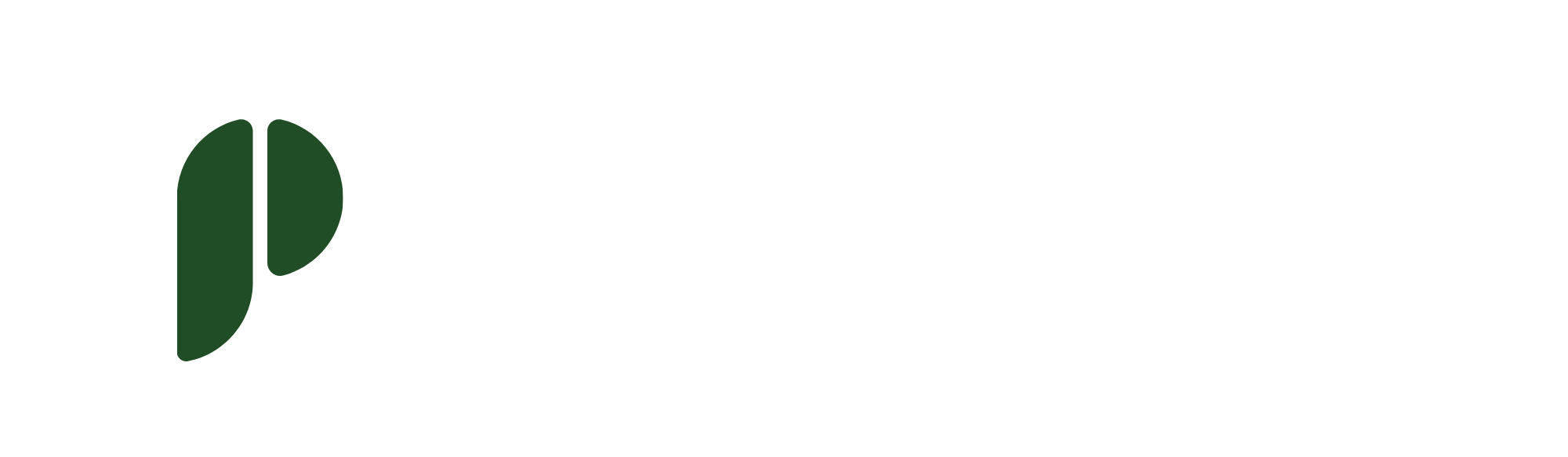 logo perinews lateral blanc